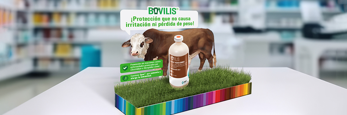 MSD_SALUD_ANIMAL_GANADERÍA_1200x400