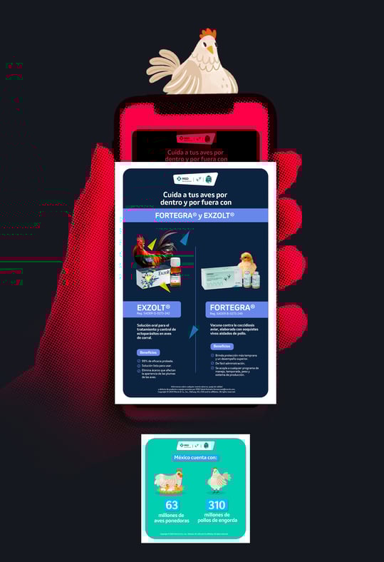 MSDImagen-mas-vertical