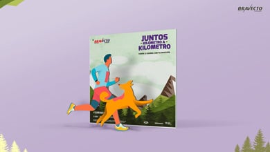 CarreraTerraMax_390x220_05