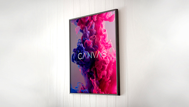 CANVAS_390x220_02